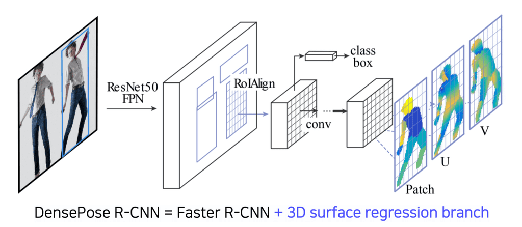 densepose
