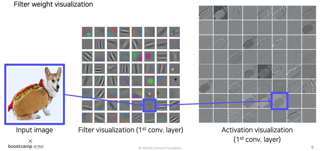 filter-visualization