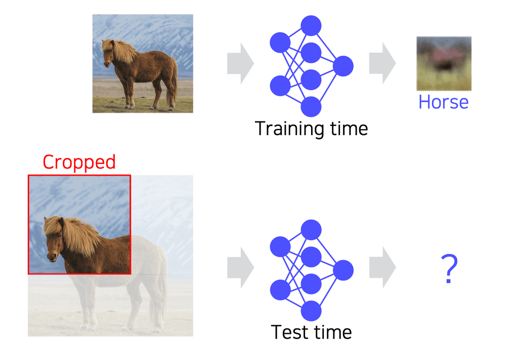 cropped-fully-connected-layer-network