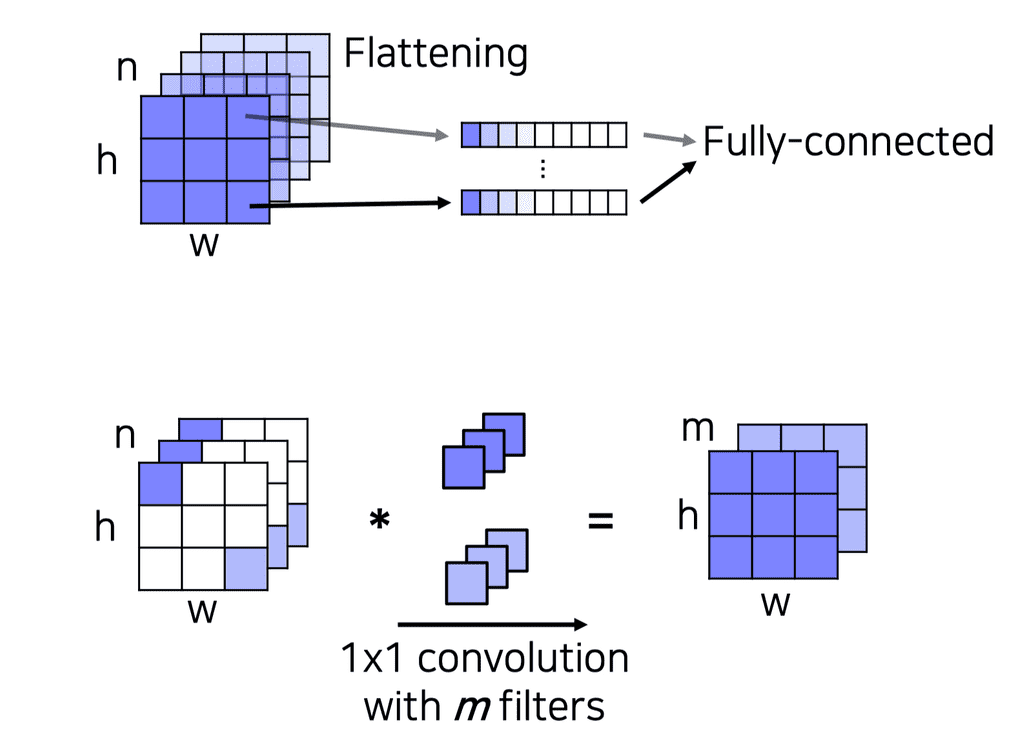 fully-convolutional