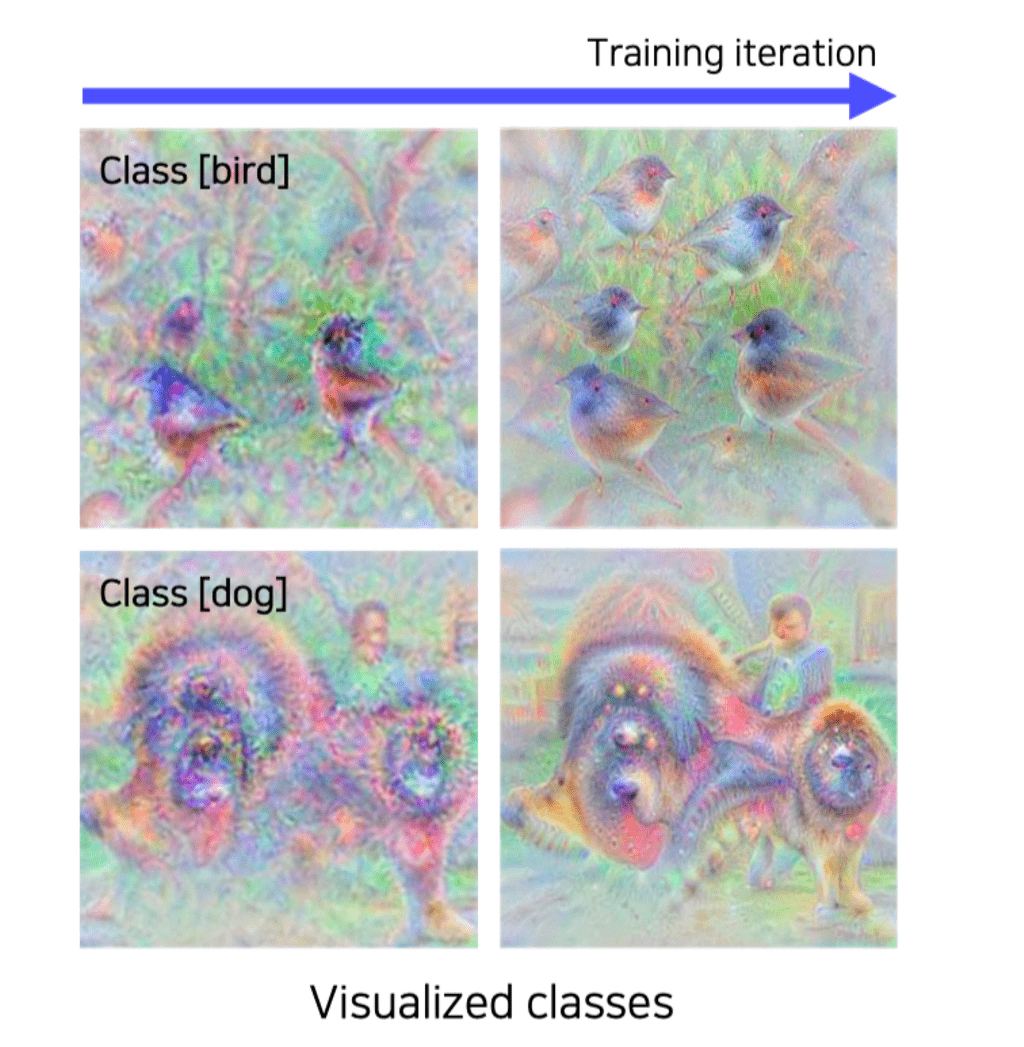 class-visualization