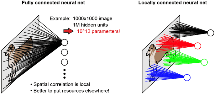 fully-vs-locally